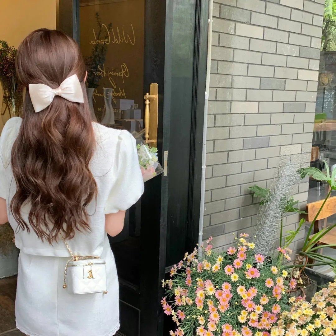 完美的主人